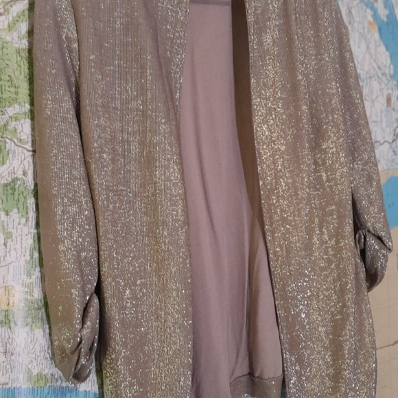 H&M Metallic Glitter Open Front Knit Blazer - Picture 6 of 7